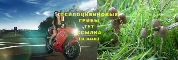 mix Армянск